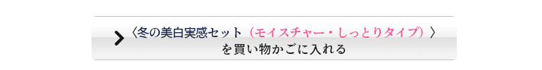 〈冬の美白実感セット（しっとりタイプ）〉買い物かごに入れる