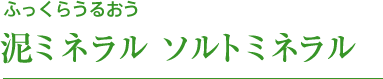 ふっきらうるおう 泥ミネラル ソルトミネラル