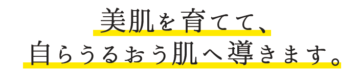 美肌を育てて、自らうるおう肌へ導きます