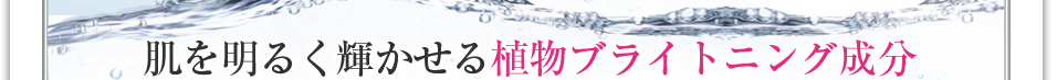 美肌の根本をつくるうるおい成分