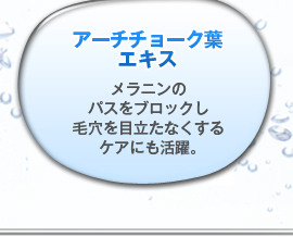 アーチチョーク葉エキスメラニンのパスをブロックし毛穴を目立たなくするケアにも活躍。