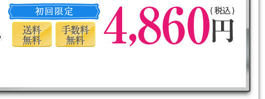5/31まで期間限定,本体価格より500円ＯＦＦ,4.200円（税込）,