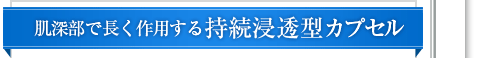 肌深部で長く作用する持続浸透型カプセル