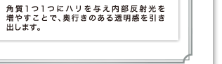 角質1つ1つにハリを与え内側反射光を増やすことで、奥行きのある透明感を引き出します。