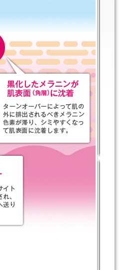 黒化したメラニンが肌表面（角層）に沈着ターンオーバーによって肌の外に排出されるべきメラニン色素が滞り、シミやすくなって肌表面に沈着します。
