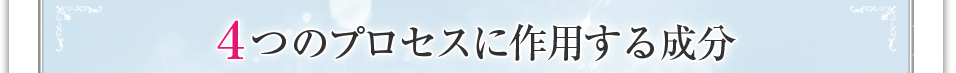 4つのプロセスに作用する成分