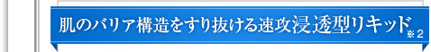 肌表面をすり抜ける浸透型リキッド