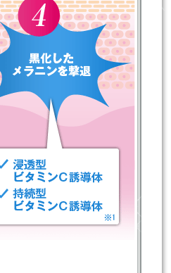 黒化したメラニン撃退浸透型ビタミンC誘導体持続型ビタミンC誘導体