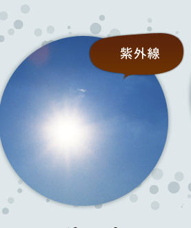 紫外線