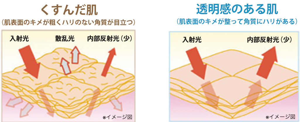 くすんだ肌、透明感がある肌