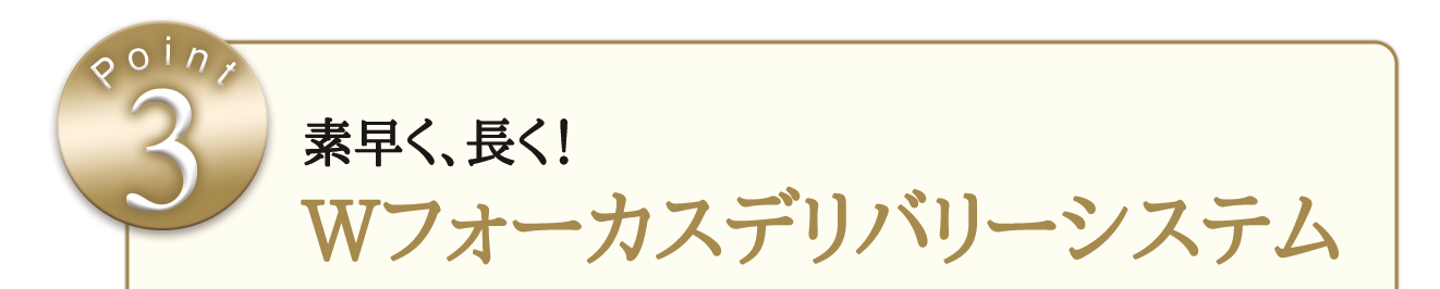 Wフォーカスデリバリーシステム