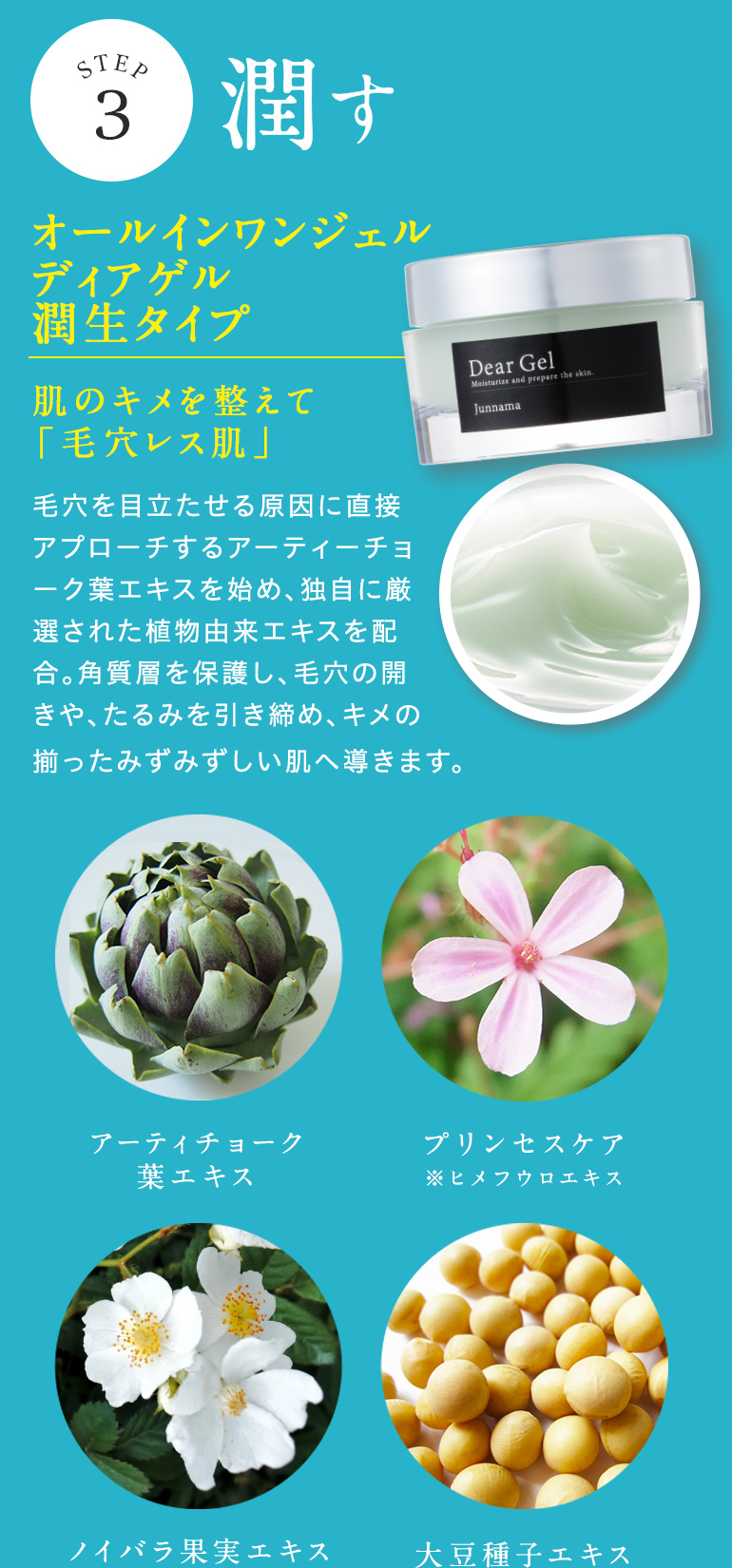 STEP2潤す：オールインワンジェルディアゲル潤生タイプ